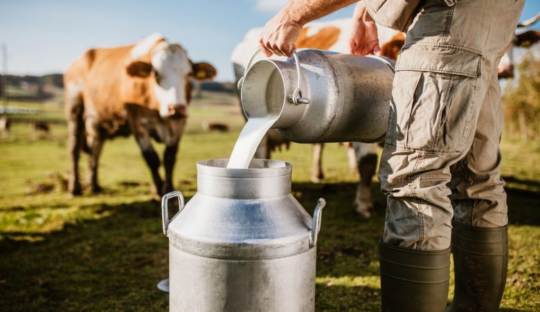 3-FORMAS-DE-SER-UM-LIDER-NO-MERCADO-DO-LEITE-780x450