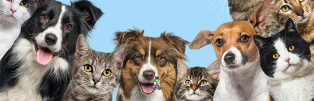 WhatsApp-Image-2026-01-12-at-15.26.22-1536x495