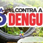 WhatsApp-Image-2026-02-10-at-15.12.59