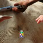 WhatsApp-Image-2026-04-15-at-14.30.55-1536x586